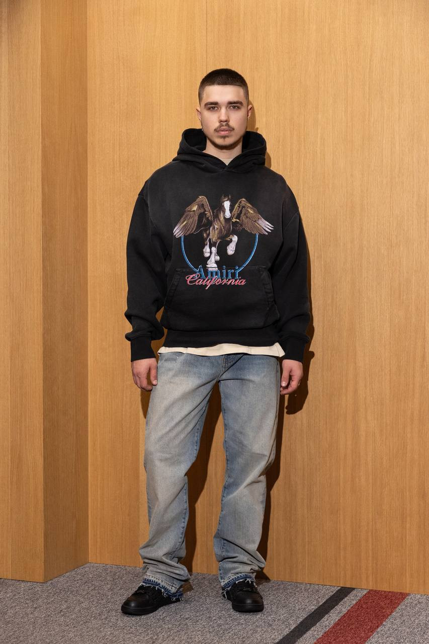 Image 6 AMIRI Gray hoodie WASH PEGASUS with logo AMJYHD1080
